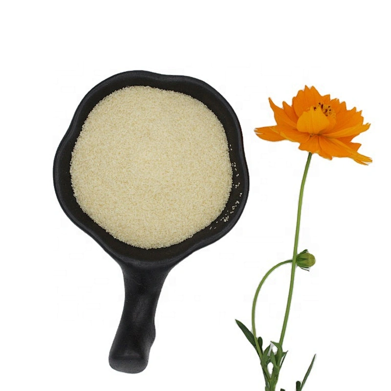 Hot sale Unflavored Food Grade Beef Gelatin Halal Powder for Pudding Making